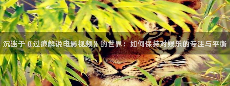 樱花视频热门电影有哪些