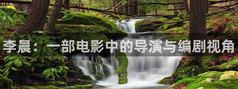 樱花视频2