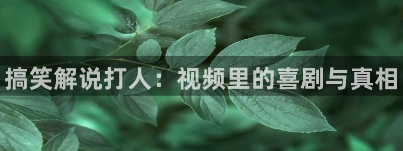 樱花视频mp4