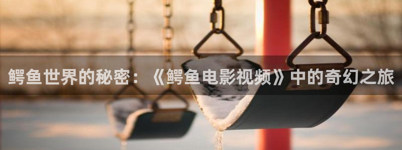 樱花影视网下载