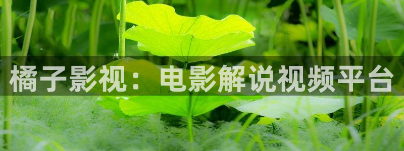 25岁的女子高中樱花视频